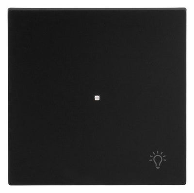 BJ 6231-10-45M Wippe 1-fach m.Symbol "Licht"