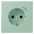 Jung BTLC1521S217 JUNG HOME SCHUKO Steckdose LC32041