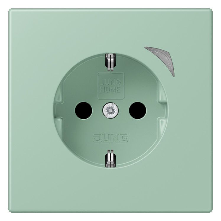 Jung BTLC1521S217 JUNG HOME SCHUKO Steckdose LC32041