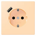 Jung LC1520-18A223 SCHUKO-Steckd.m.USB Typ A LC32060