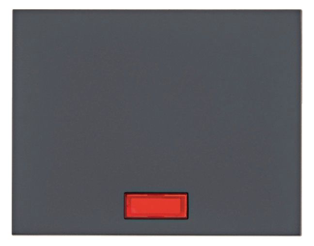 Berker 14157006 Wippe m.5beil.Linsen K.1 anthrazit matt