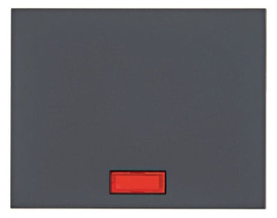 Berker 14157006 Wippe m.5beil.Linsen K.1 anthrazit matt