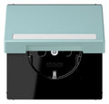 Jung LC1520BFNAKL214 SCHUKO-Steckd.KI m. Klappdeckel m.S