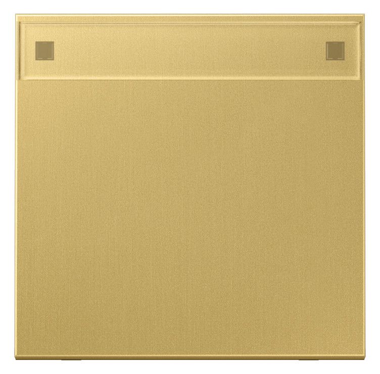 Jung ME2990NAC Wippe Schriftfeld LS Messing classic