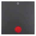 Berker 16241606 Wippe m.Linse rot+ Aufdruck 0 B.3/B.7 anthrazit matt