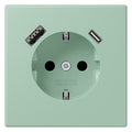 Jung LC1520-15CA217 SCHUKO-Steckd.m.USB Typ AC LC32041