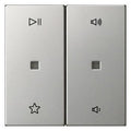 GIRA 5384600 Wippe 2fach Audiosteuerung System 55 Edelstahl