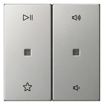 GIRA 5384600 Wippe 2fach Audiosteuerung System 55 Edelstahl