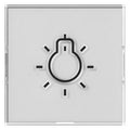 GIRA 321600 Wippe+BSF+Symbol Licht groß tastbar System 55 Farbneutral