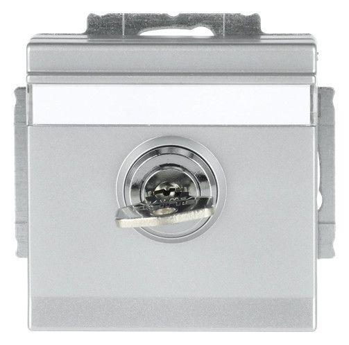 BJ 20 EUKNBSL-83-101 SCHUKO Steckdosen-Einsatz alusilber future