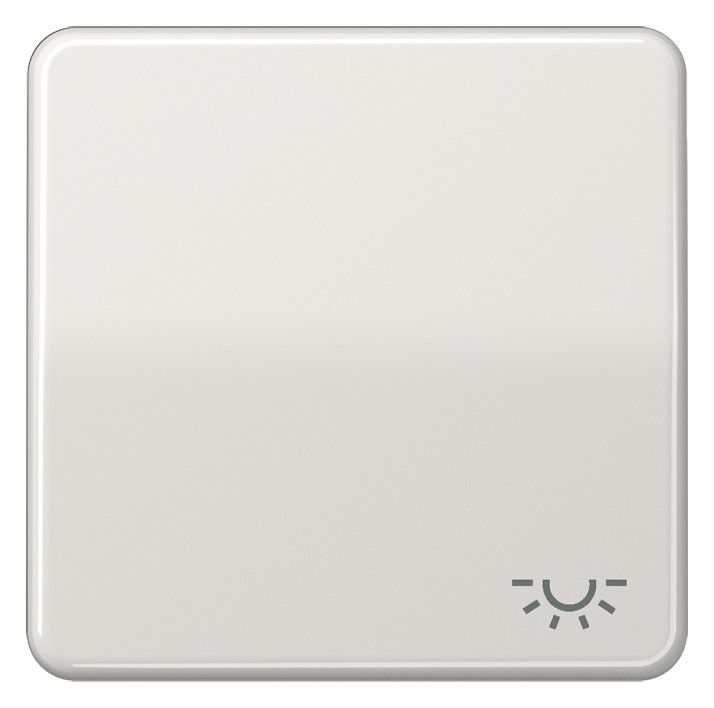 Jung CD590LLG Wippe Symbol Licht lichtgrau