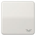 Jung CD590LLG Wippe Symbol Licht lichtgrau