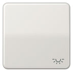 Jung CD590LLG Wippe Symbol Licht lichtgrau