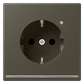 Jung LC1520-OLNW241 SCHUKO-Steckdose m.LED-Licht LC32140