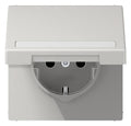 Jung LS1520BFNAKLLG SCHUKO Steckdose m.Klappdeckel u.Schriftfeld lichtgrau