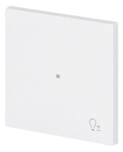 BJ 6234-10-44G Wippe 1-fach m.Symbol "Dimmer"