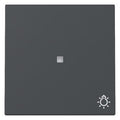 GIRA 367428 Wippe Kontrollfenster+Symbol Licht System 55 Anthrazit