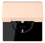 Jung LC1520BFKIKL228 SCHUKO Steckd.KI m. Klappdeckel LC32091