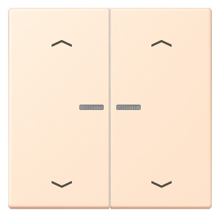 Jung LC102KO5P238 Wippe m.Lichtleiter u. Pfeilsymbolen