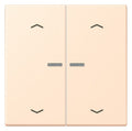 Jung LC102KO5P238 Wippe m.Lichtleiter u. Pfeilsymbolen