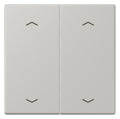 Jung LC102P205 Wippe m.Pfeilsymbolen f.KNX Taster 2