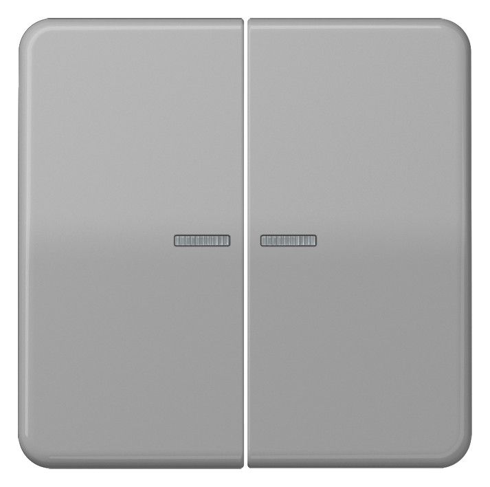 Jung CD595KO5BFGR Wippe Serienschalter m.Lichtleiter bruchsicher grau