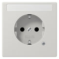 Jung LS1520NAKOLG SCHUKO-Steckdose m.Schriftfeld u.Funktionsanz. lichtgrau