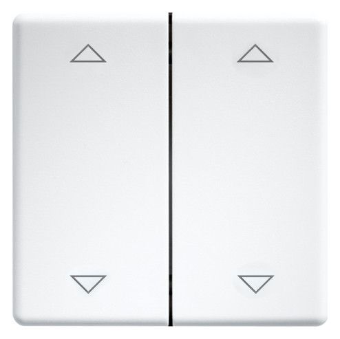 Eltako DW-FT55-wg+2P Doppelwippen 55er Design+E-Design55 reinweiß gl.30000985