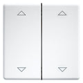 Eltako DW-FT55-wg+2P Doppelwippen 55er Design+E-Design55 reinweiß gl.30000985