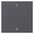 GIRA 538928 Wippe 1fach Pfeile System 55 Anthrazit