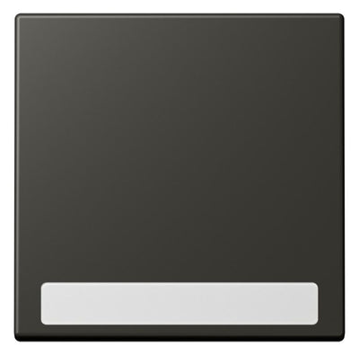 Jung LC990NA259 Wippe f.Schalter/Taster NA LC4320R