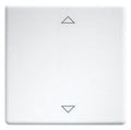 Eltako W-FT55-rw+2P Wippe 55er Design u.E-Design55 reinweiß 30000982