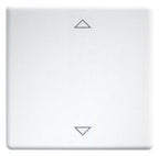 Eltako W-FT55-rw+2P Wippe 55er Design u.E-Design55 reinweiß 30000982