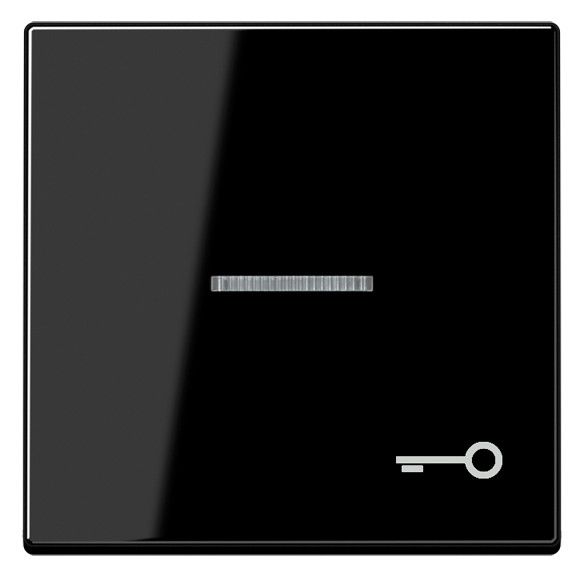 Jung A590KO5TSW Wippe Symbol Tür m.Lichtleiter Serie A schwarz