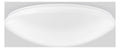 RZB 311947.002.3 FLAT POLYMERO 19W 2050lm 840 ws Phase-cut