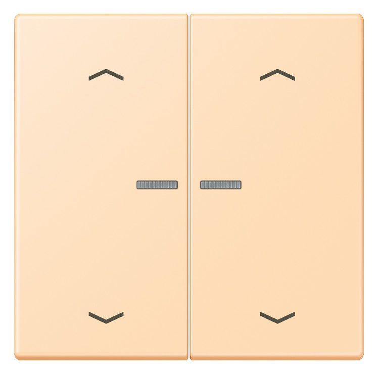 Jung LC102KO5P223 Wippe m.Lichtleiter u. Pfeilsymbolen