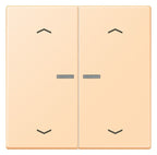 Jung LC102KO5P223 Wippe m.Lichtleiter u. Pfeilsymbolen