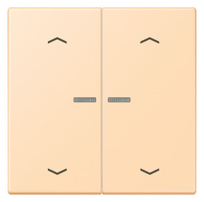 Jung LC102KO5P223 Wippe m.Lichtleiter u. Pfeilsymbolen