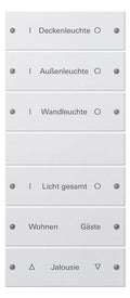 GIRA 220603 Wippenset 6fach (3+3) beschreib. System 55 Reinweiß gl.(lack.)