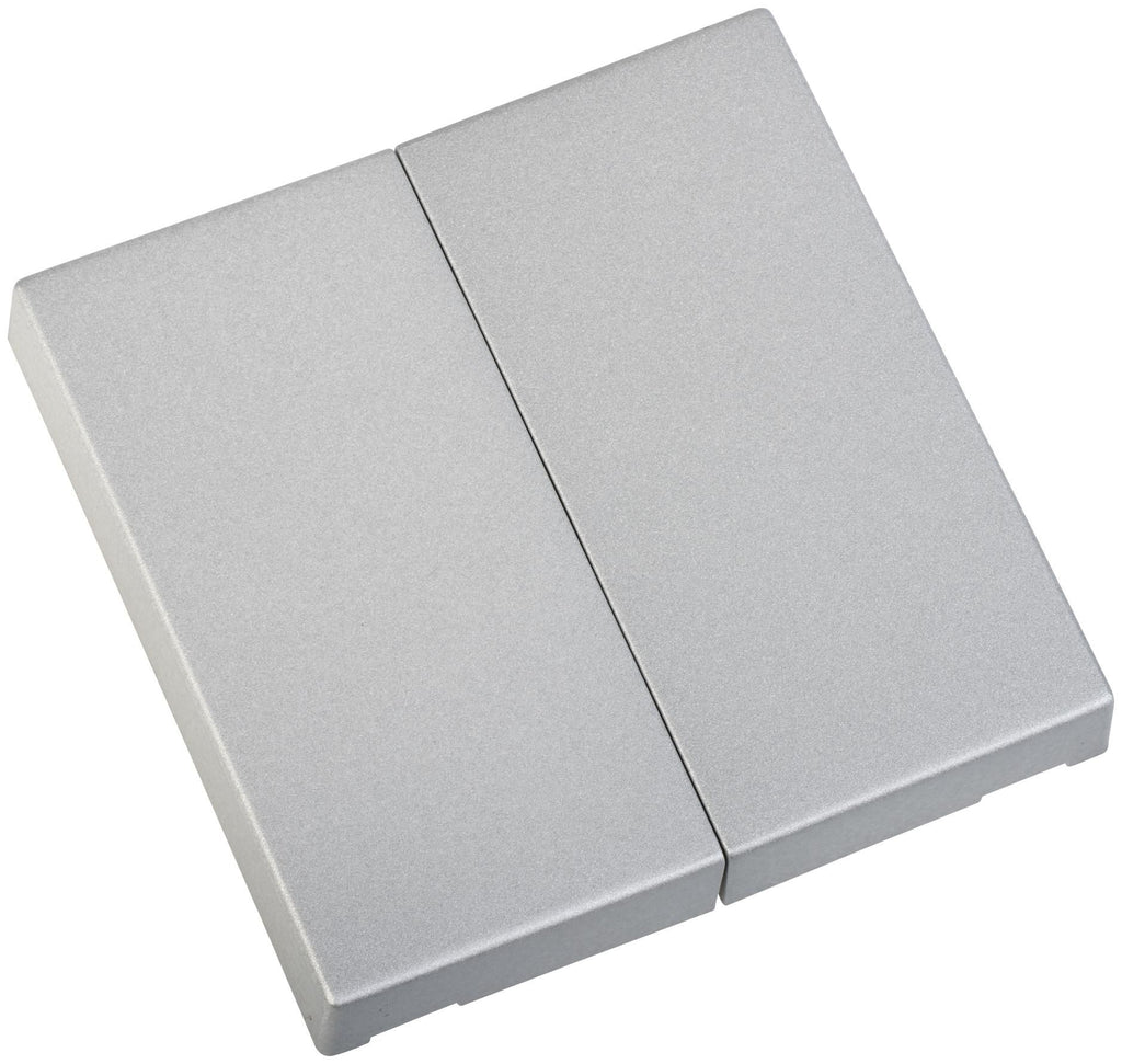 ELDAT RTS23-ACC-01-25P2 Wippe EIN/AUS 2x Format 55 alu-lackier.f.Wandsender RTS23