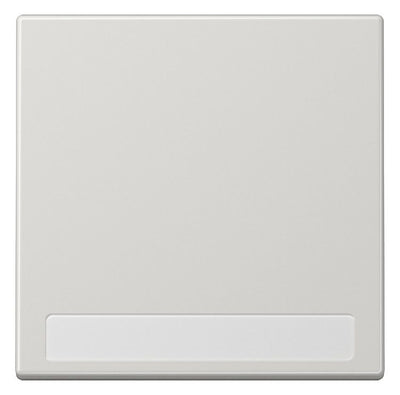 Jung LS990NALG Wippe Schriftfeld lichtgrau