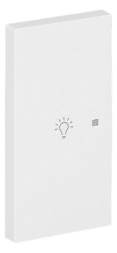 BJ 6231-21-44G Wippe 2-fach links m.Symbol "Licht"