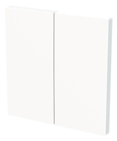 BJ 6736 FoH-44G Wippe 2-fach Smart Switch
