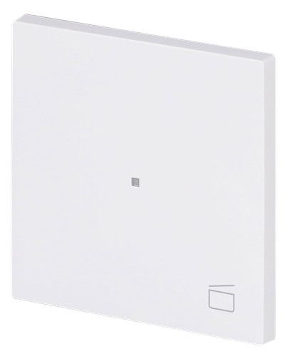 BJ 6233-10-44G Wippe 1-fach m.Symbol "Szene"