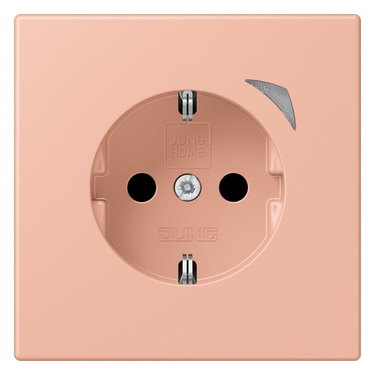 Jung BTLC1521S231 JUNG HOME SCHUKO Steckdose LC32102