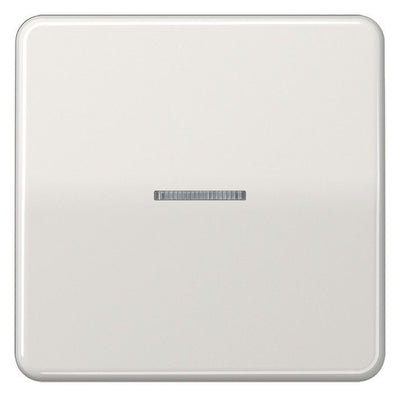 Jung CD590KO5LG Wippe Lichtleiter lichtgrau