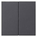 GIRA 537028 Wippe 2fach unbedruckt System 55 Anthrazit