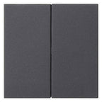 GIRA 537028 Wippe 2fach unbedruckt System 55 Anthrazit