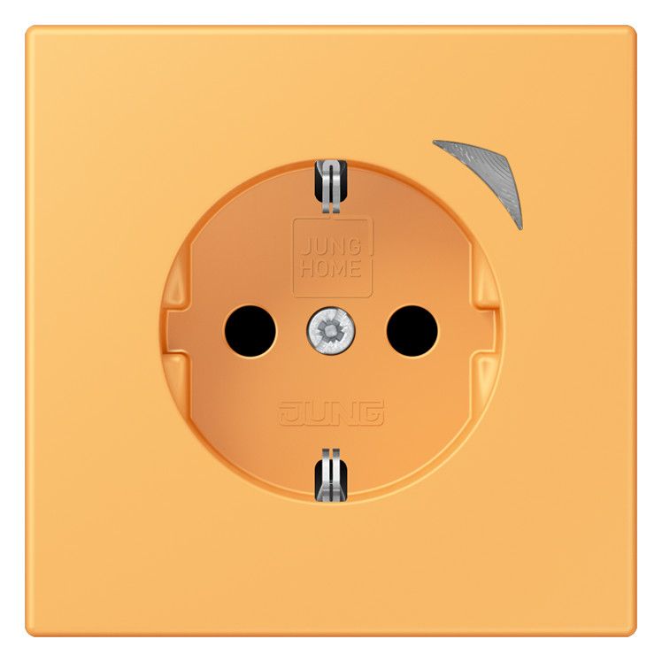 Jung BTLC1521SE254 JUNG HOME SCHUKO Steckdose Energy LC4320