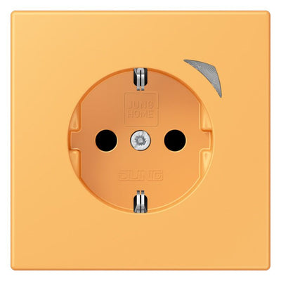 Jung BTLC1521SE254 JUNG HOME SCHUKO Steckdose Energy LC4320